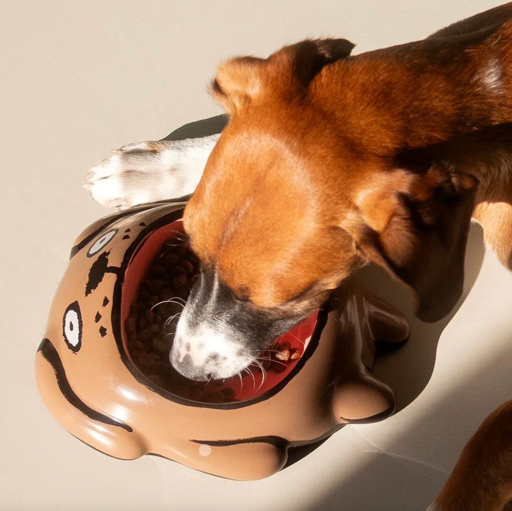 Dog & Cat bowls