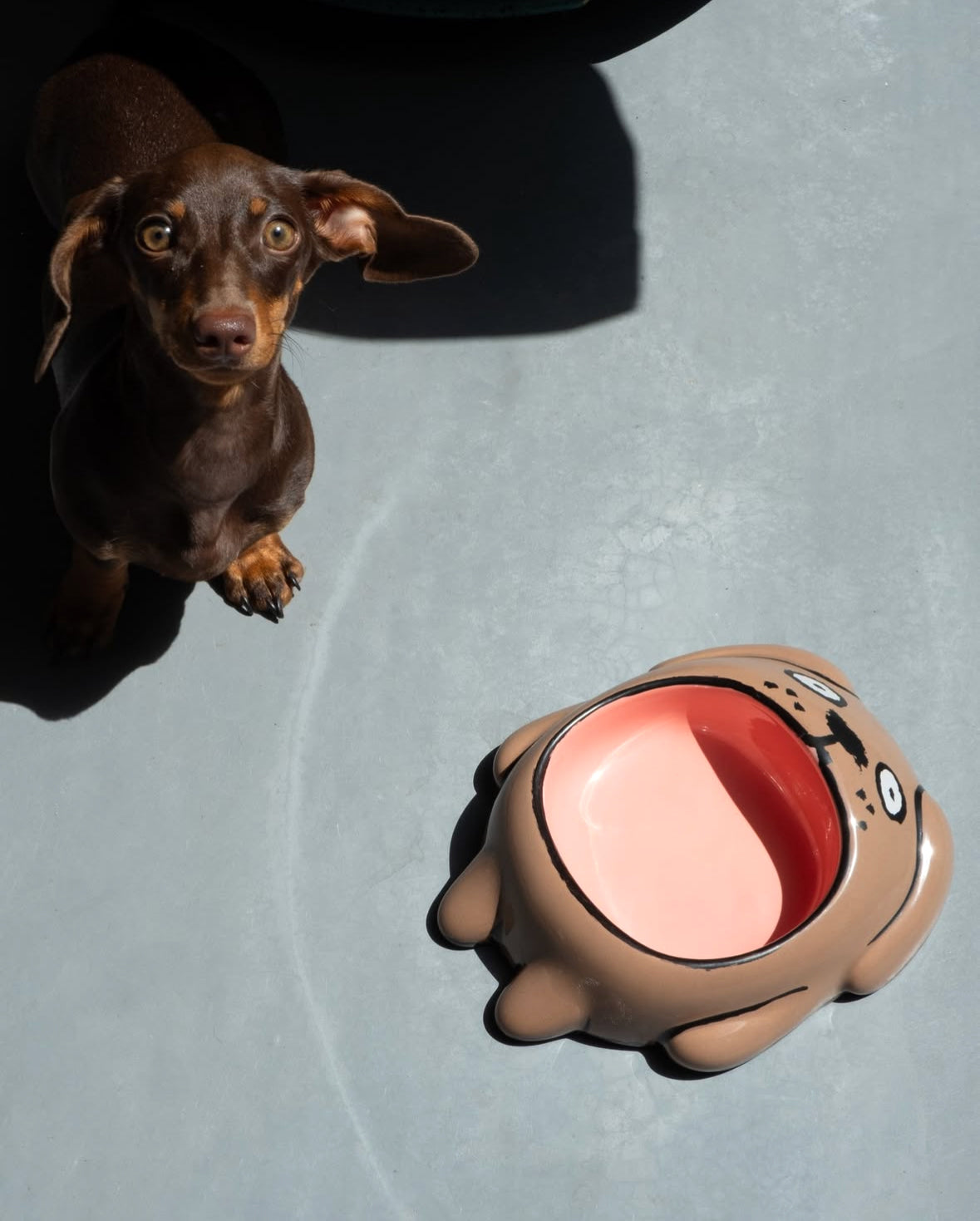 Dog & Cat bowls