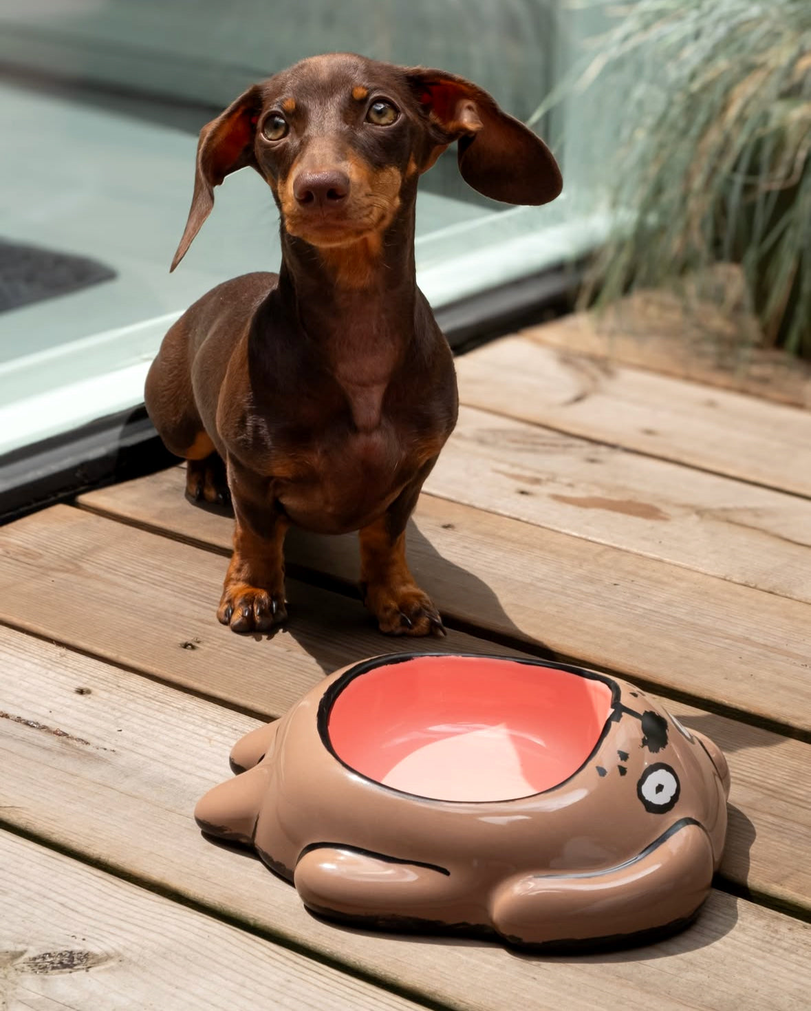 Dog & Cat bowls