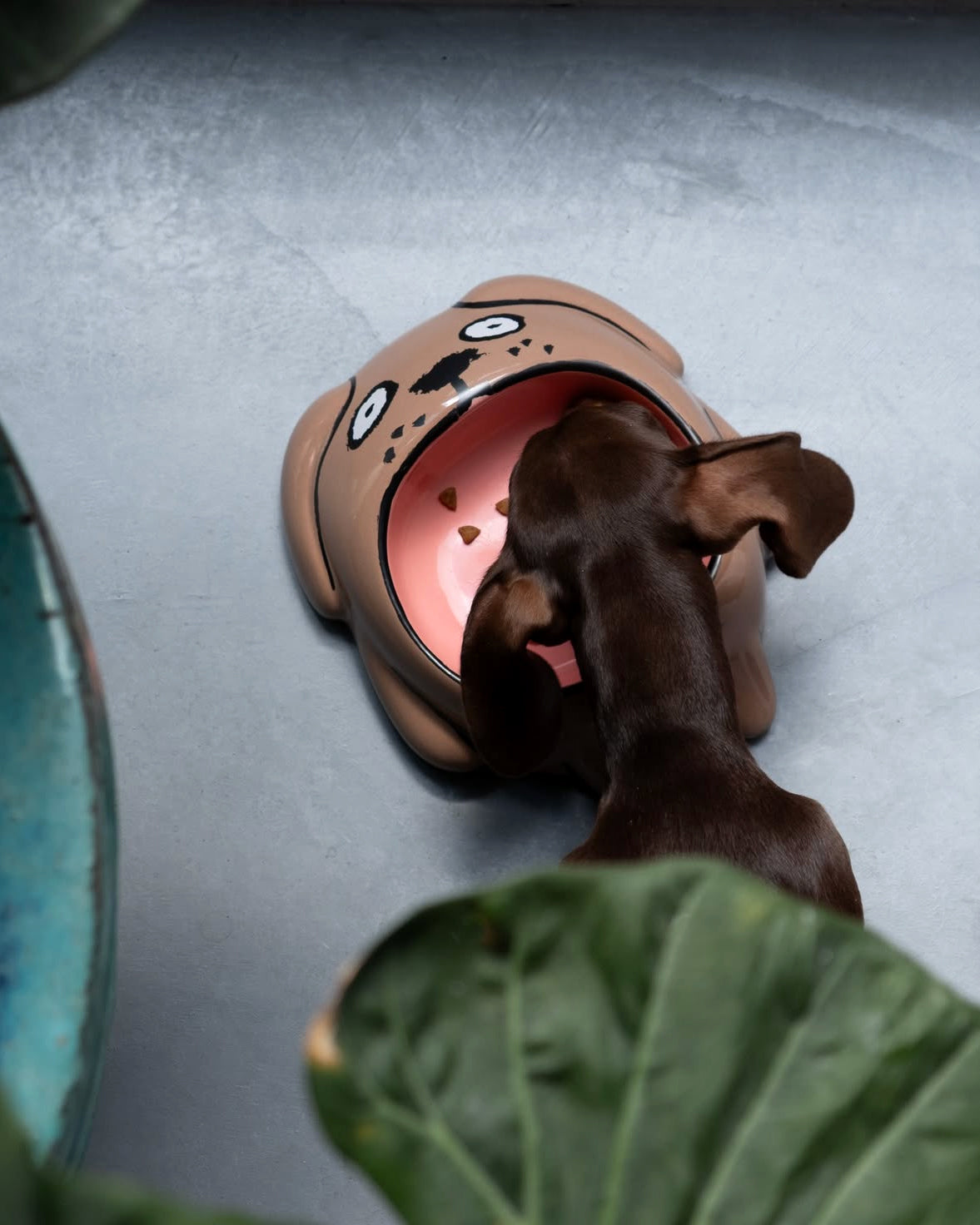 Dog & Cat bowls