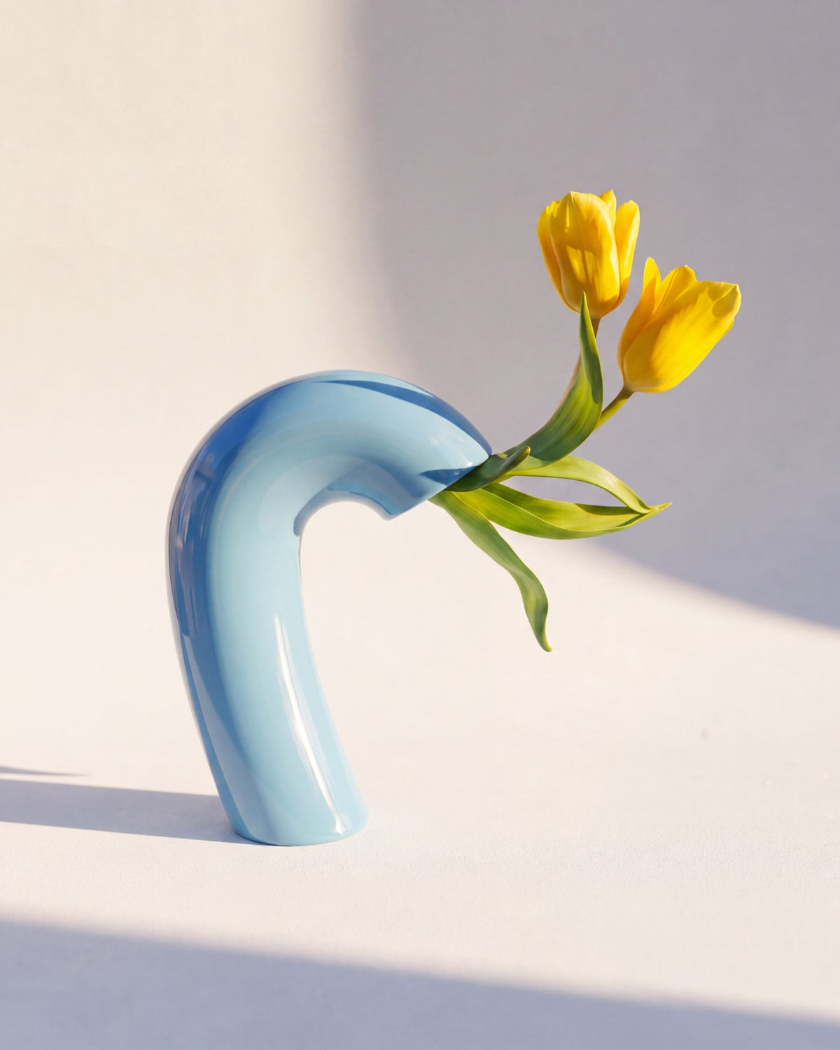 Vita Vase by Houbi home
