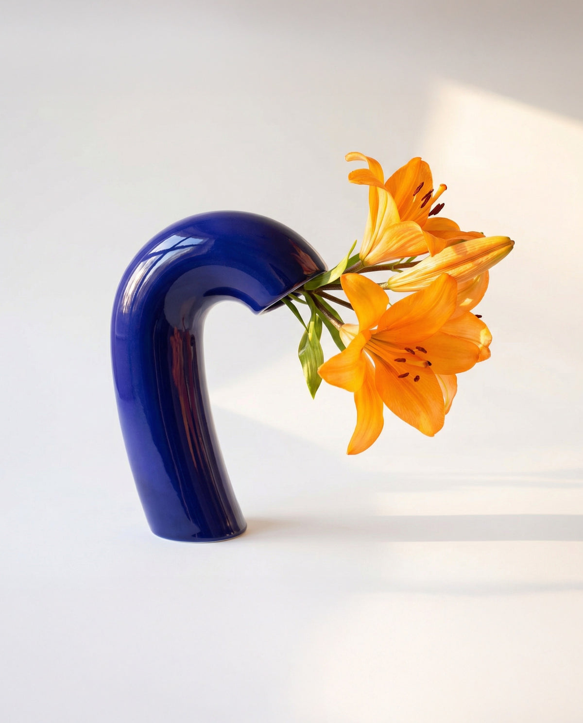 Vita Vase by Houbi home