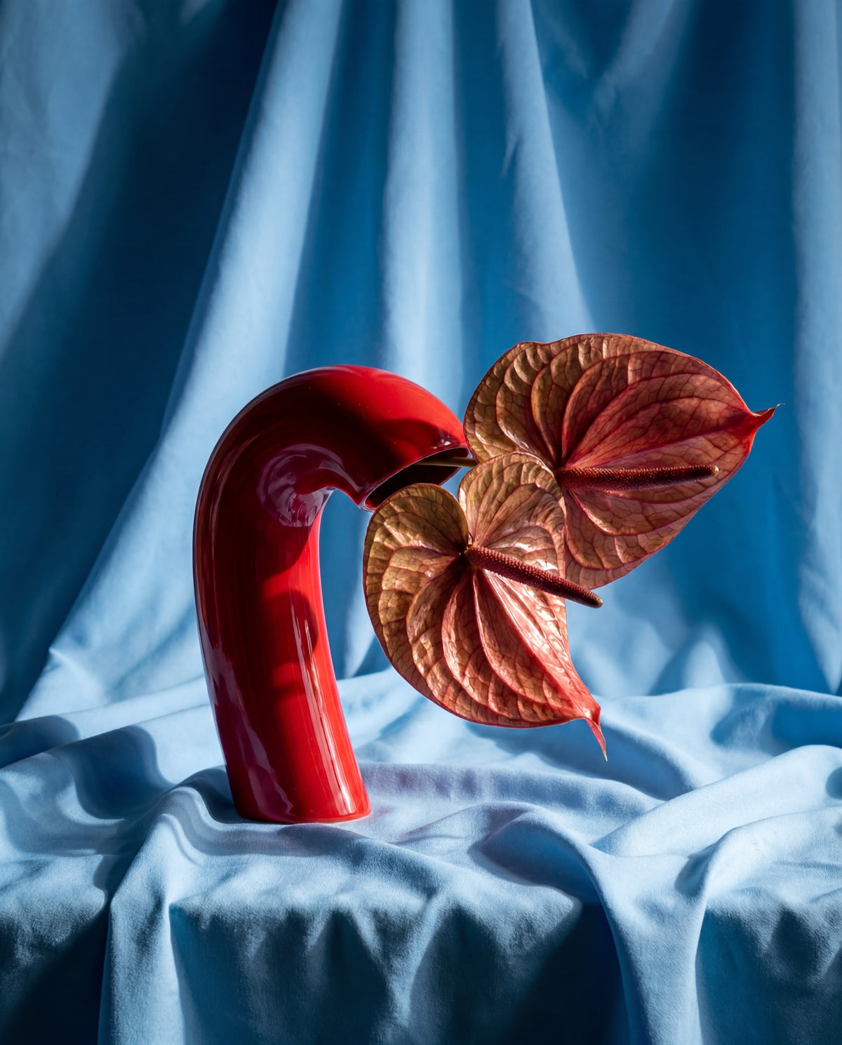 Vita Vase by Houbi home