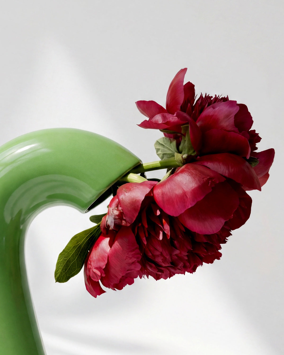 Vita Vase by Houbi home