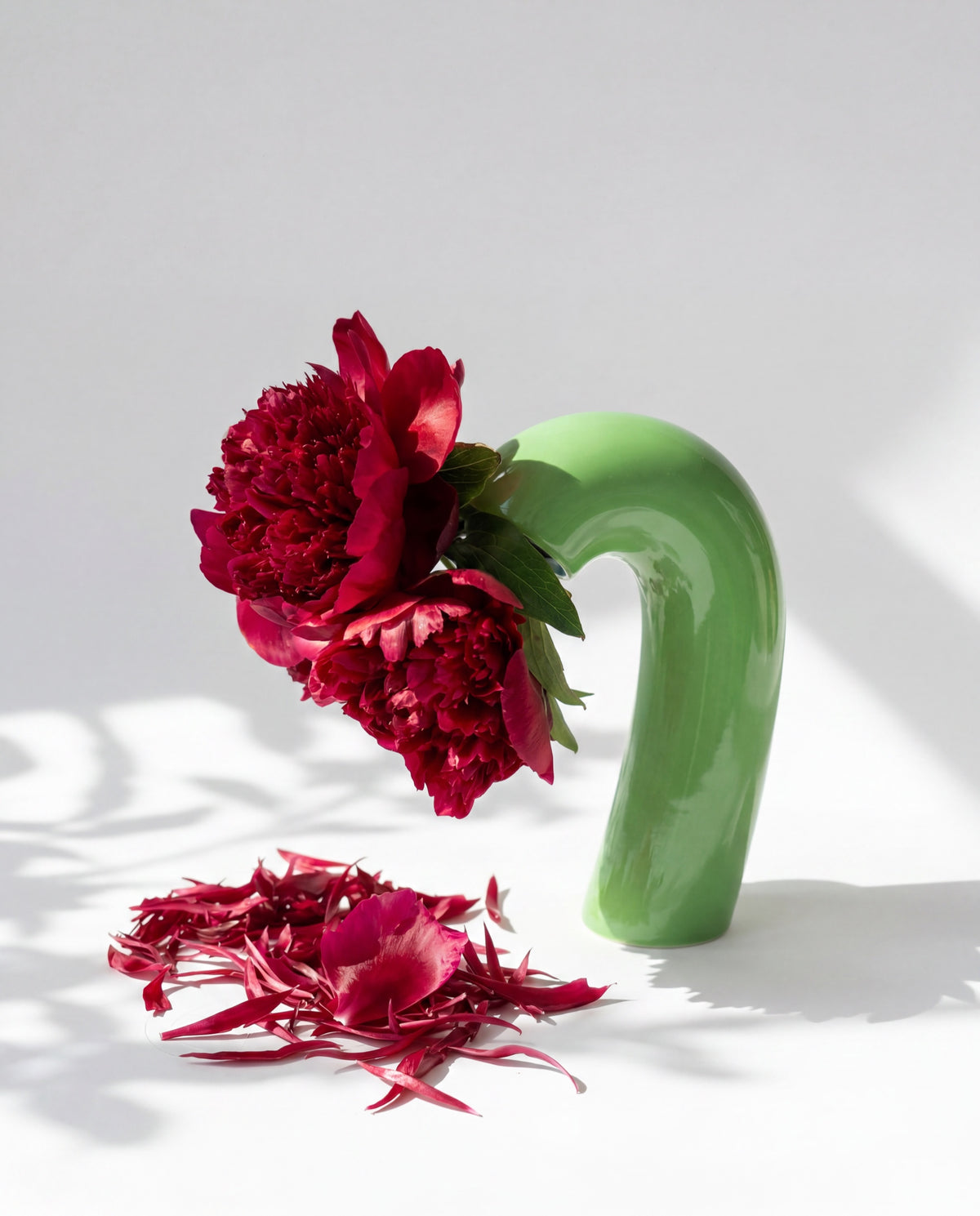 Vita Vase by Houbi home
