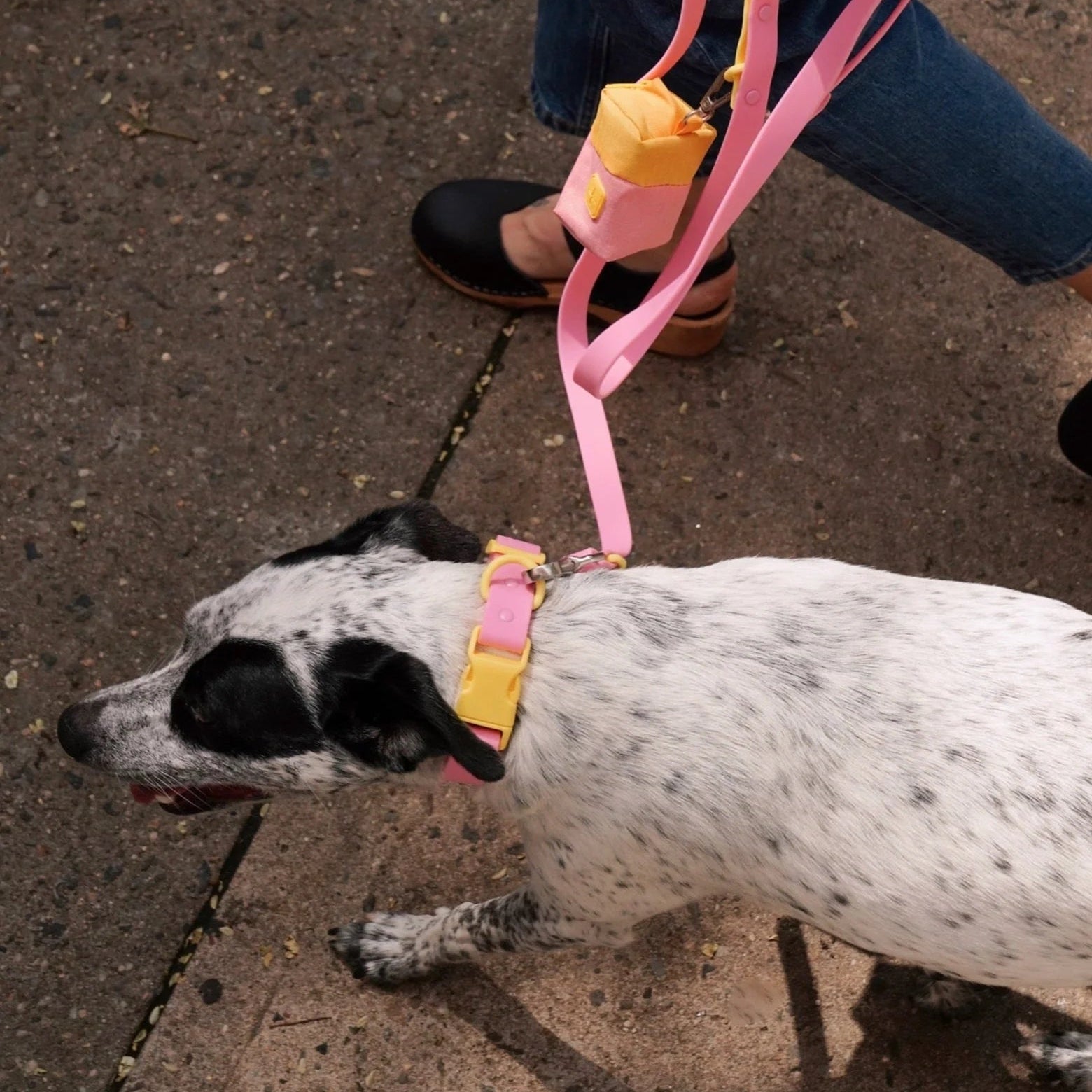 Walk with Fritz