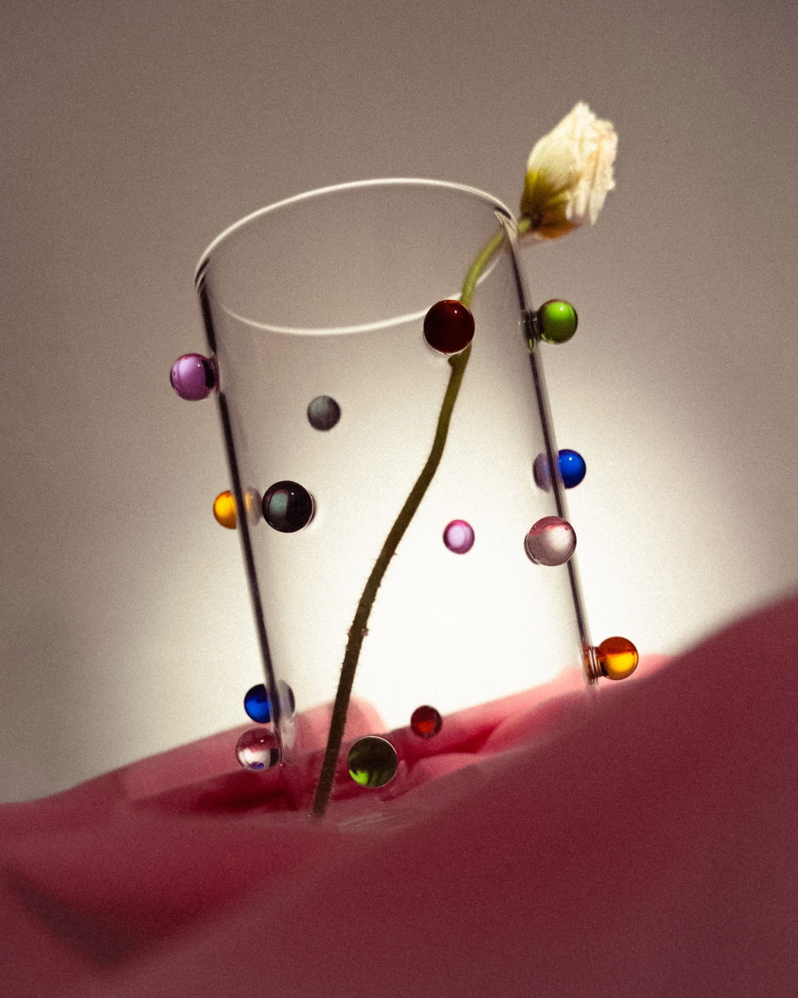 Pomponette Collection