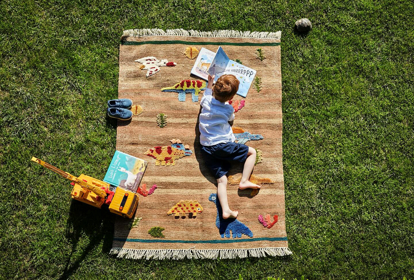 Dinosaur Rug