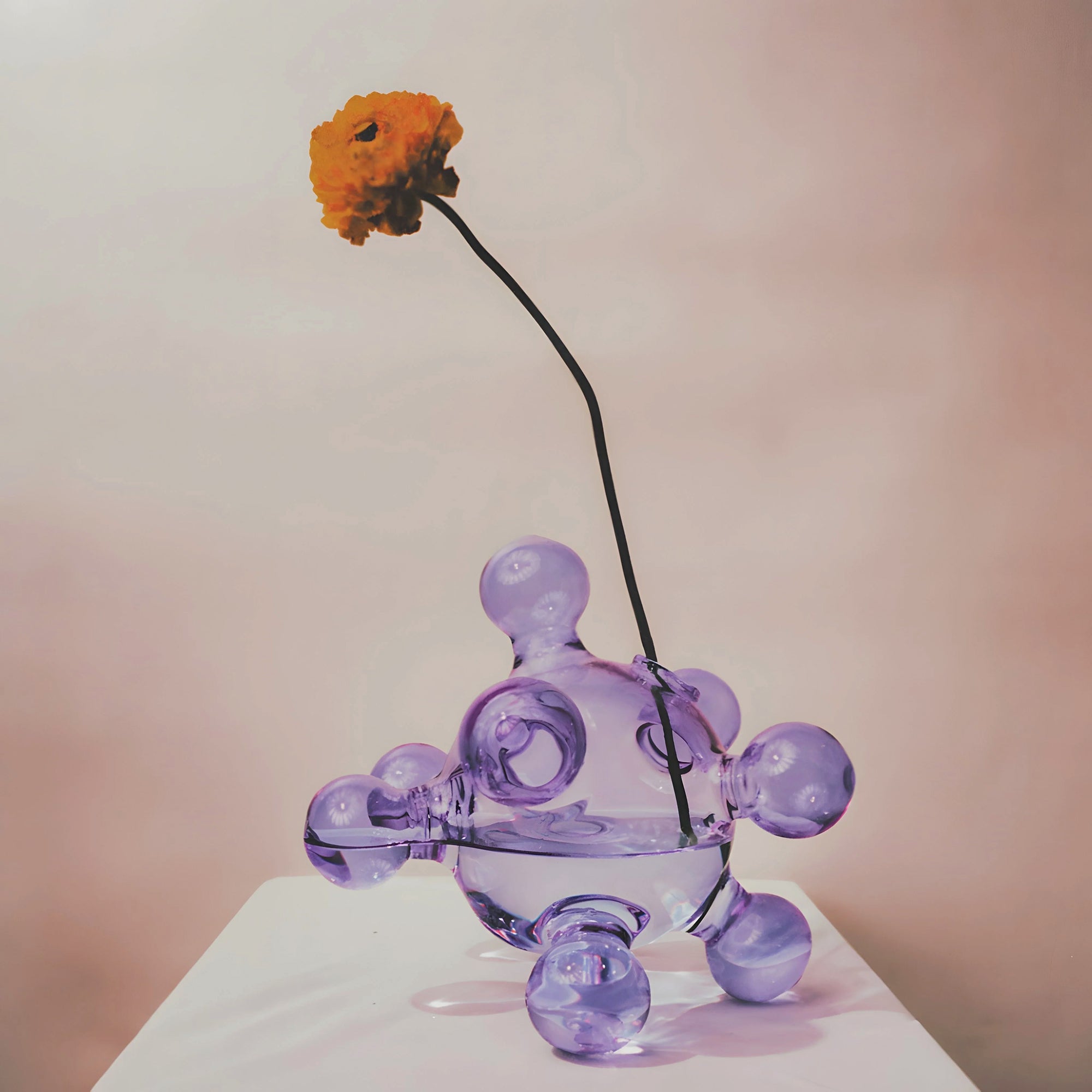 The Dreamlike Family