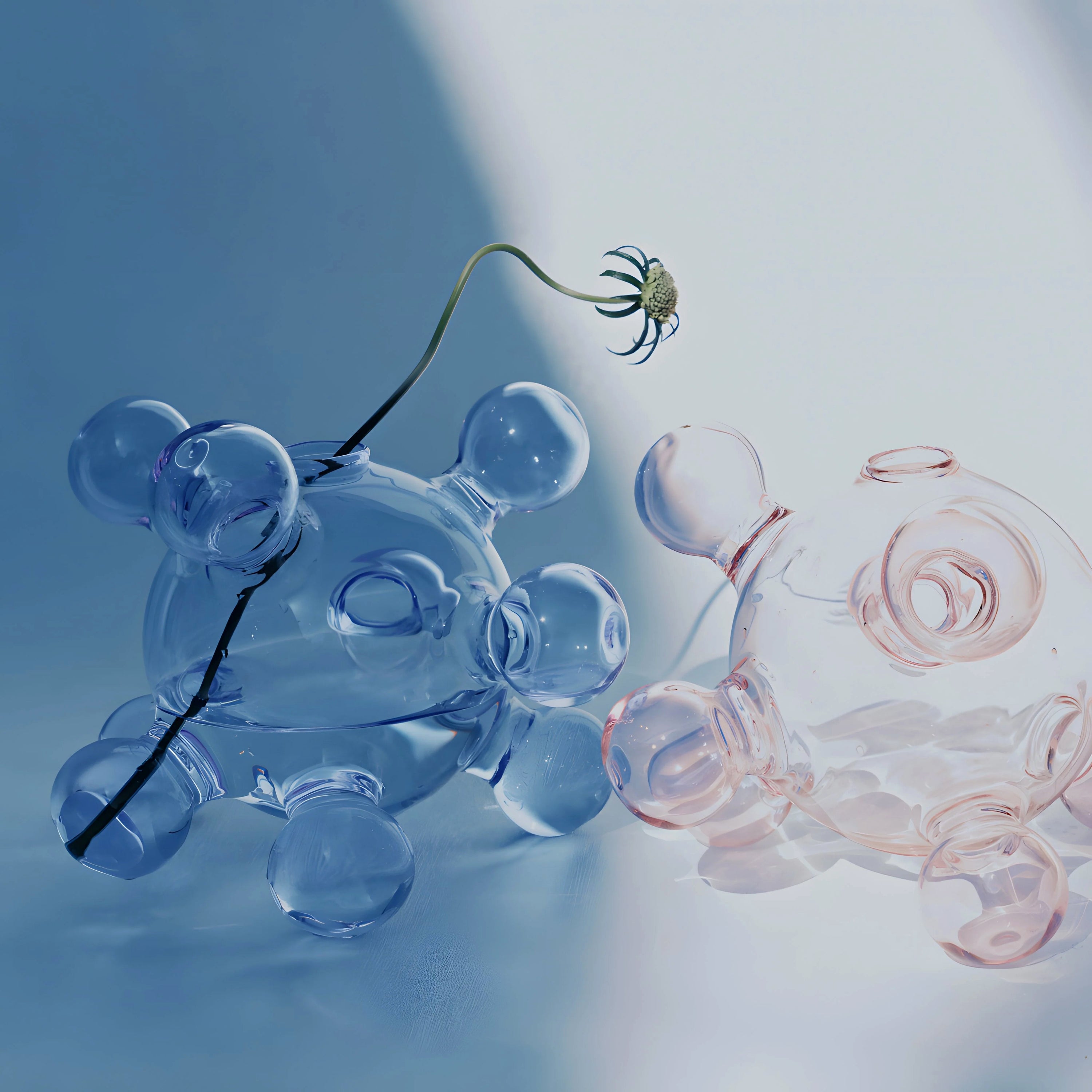 The Dreamlike Family