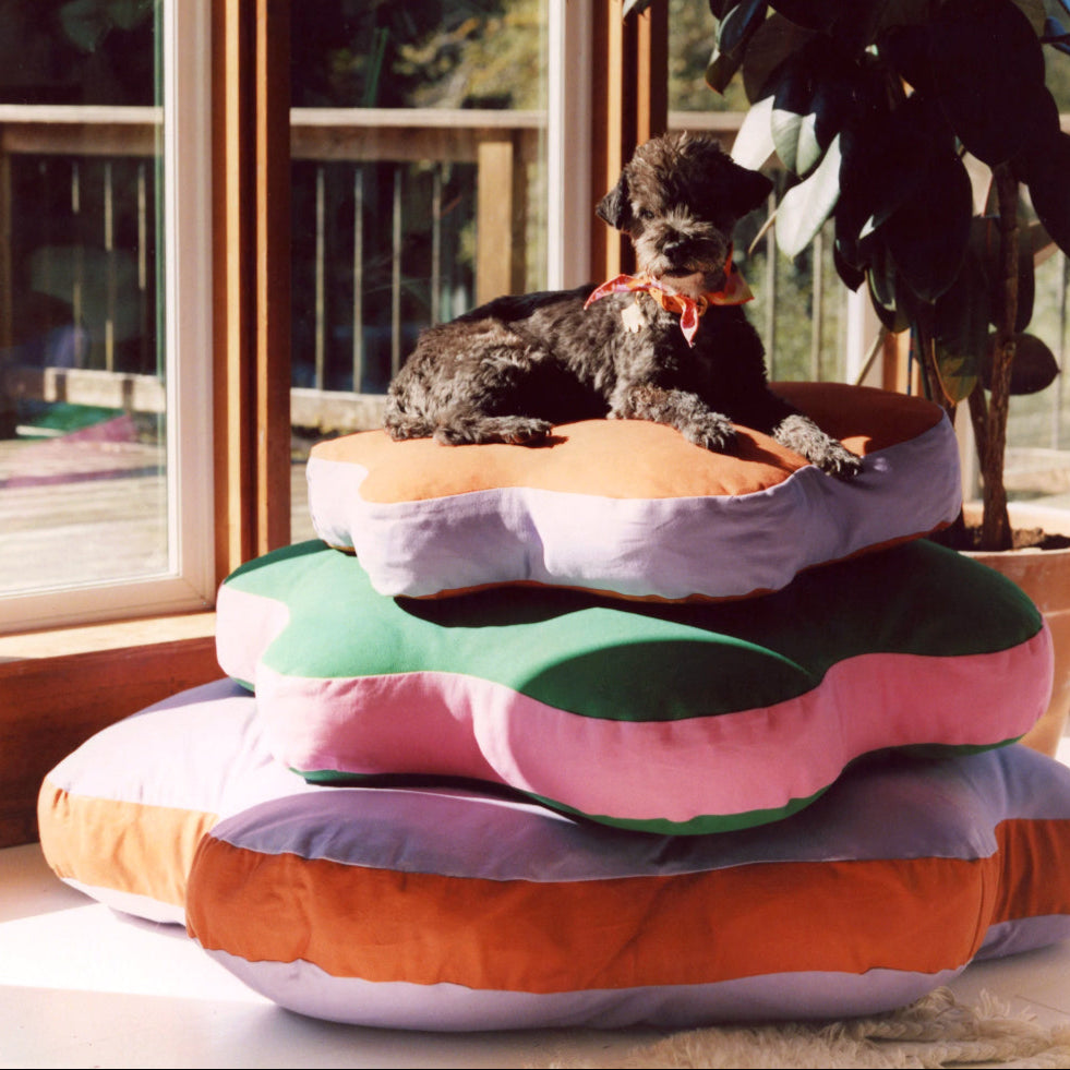 Paw-fect bed