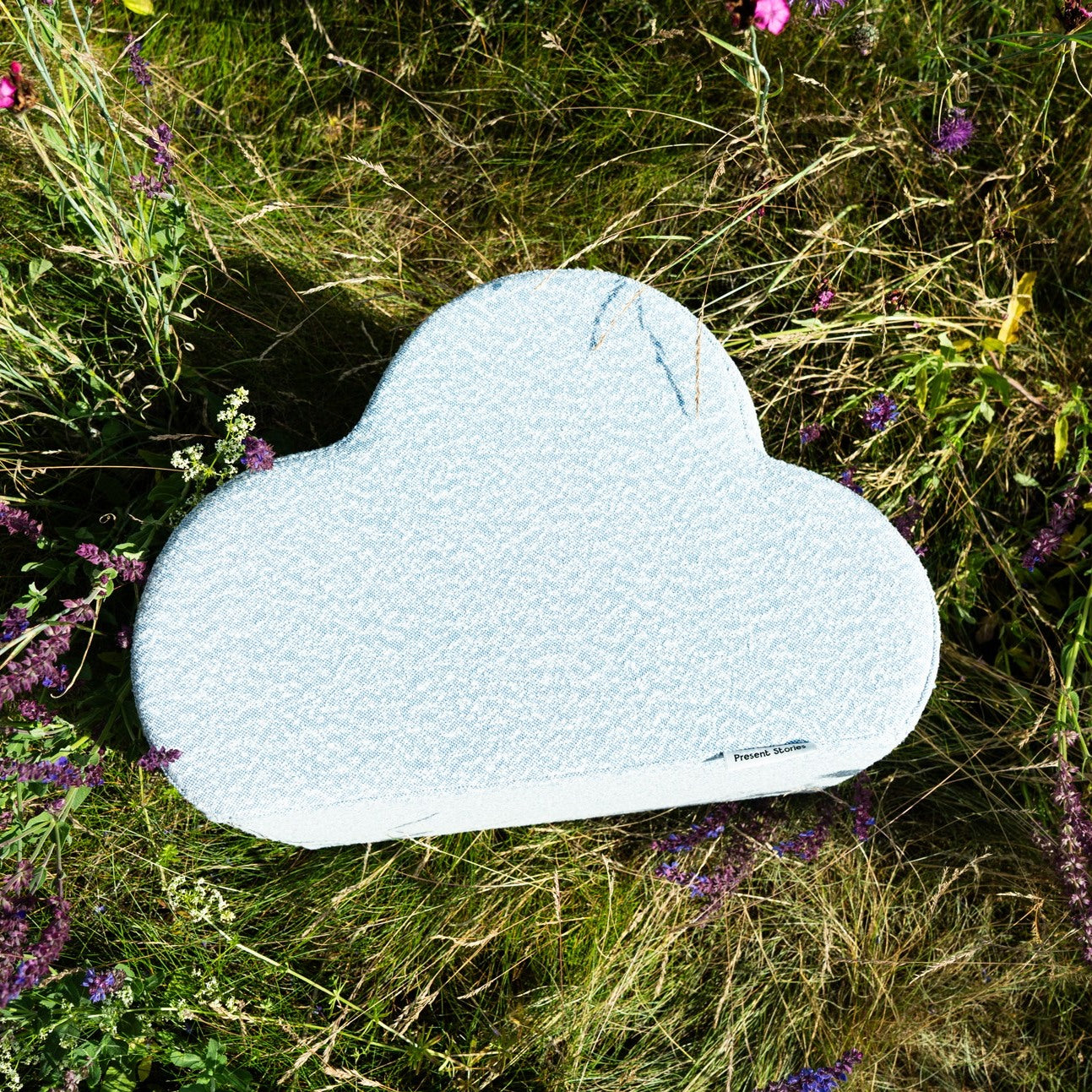 Cloud Cushion
