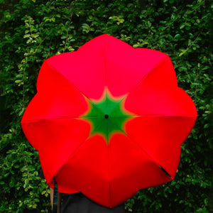 Tomato Umbrella