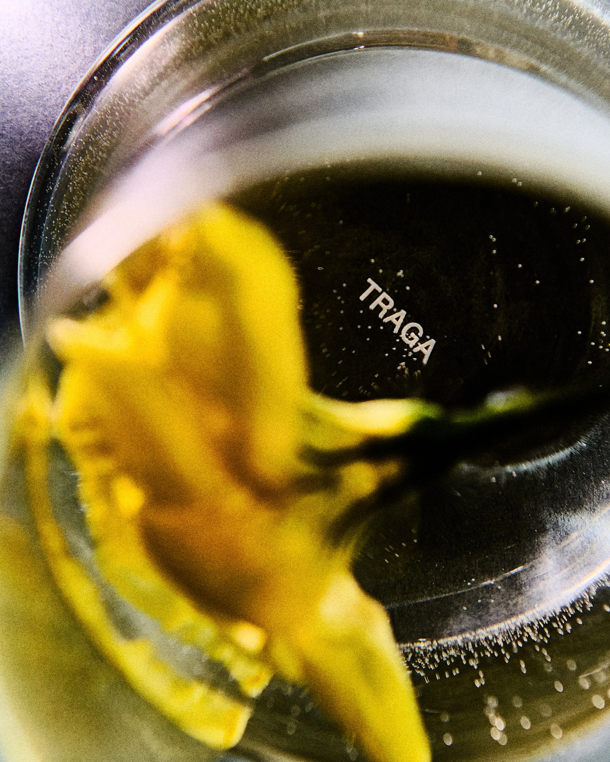 Melt Glass by Traga